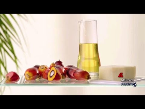Alimentazione: il ruolo sostenibile dell’olio di palma al Sigep di Rimini