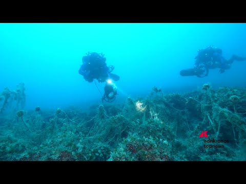 Arca Blue Leaders: al Plemmirio un’azione concreta contro le reti fantasma