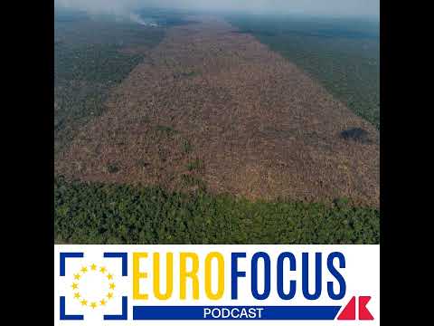Deforestazione, l’Europa cambia strada e la sinistra protesta