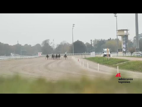 Ippica: a San Siro è tornato il Gran Premio Paolo e Orsino Orsi Mangelli