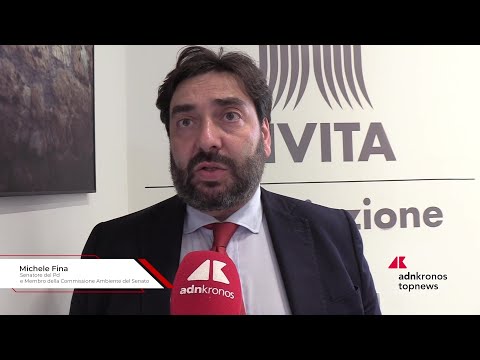 SAF, Fina (Pd): “Serve vera politica industriale”